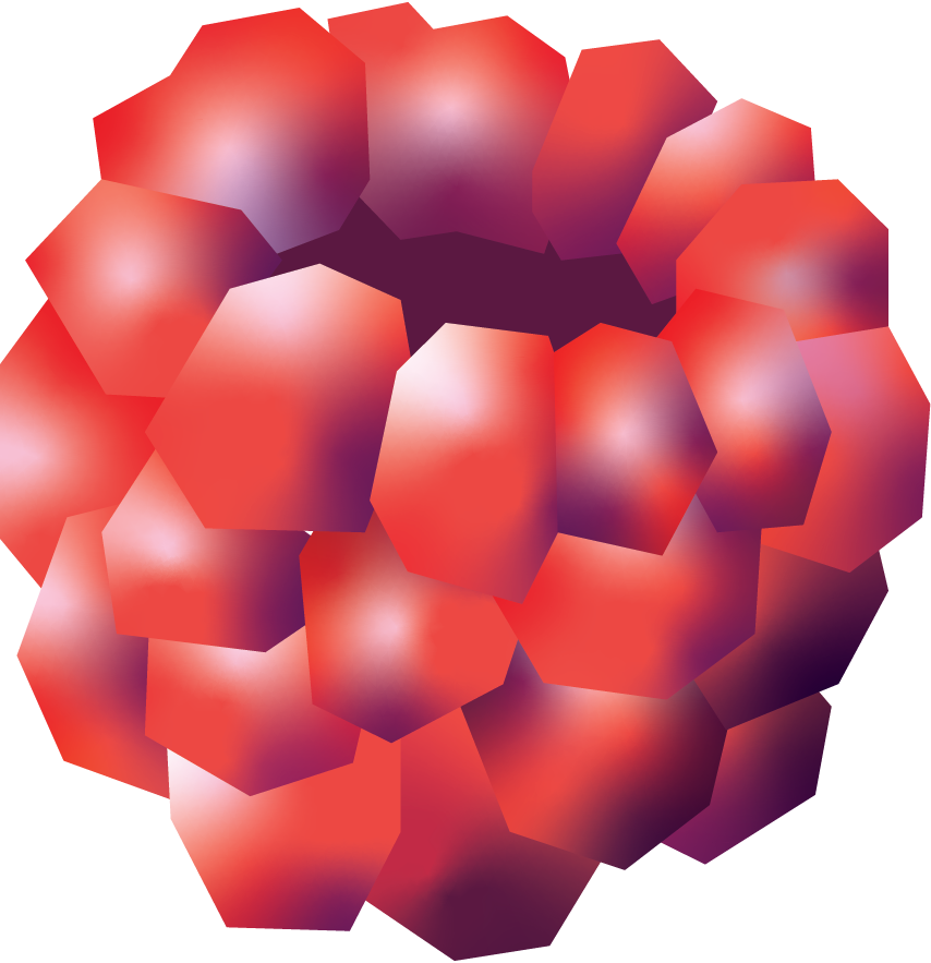 Raspberry rita raspberry 3D render