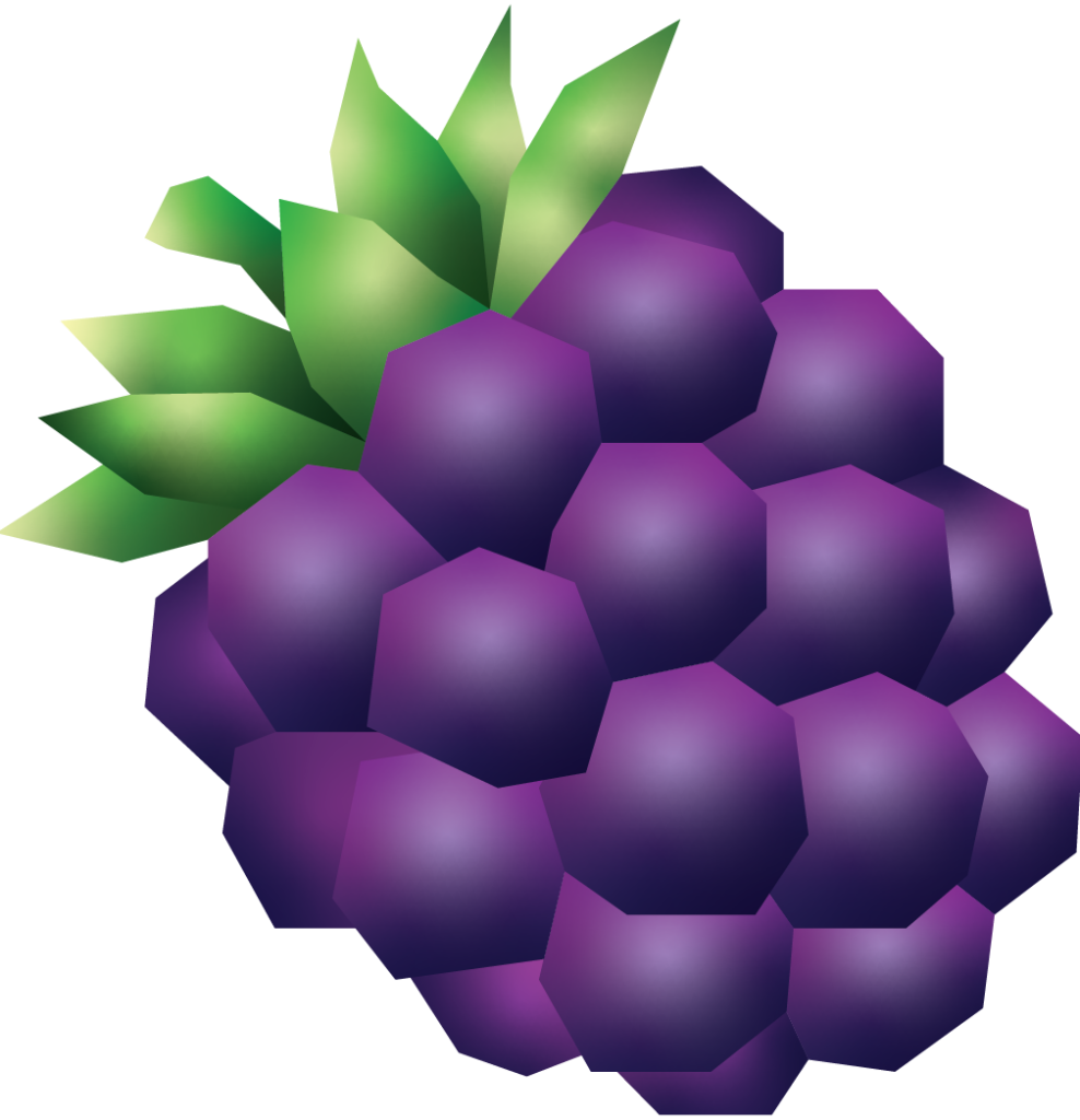 Blackberry Illustration